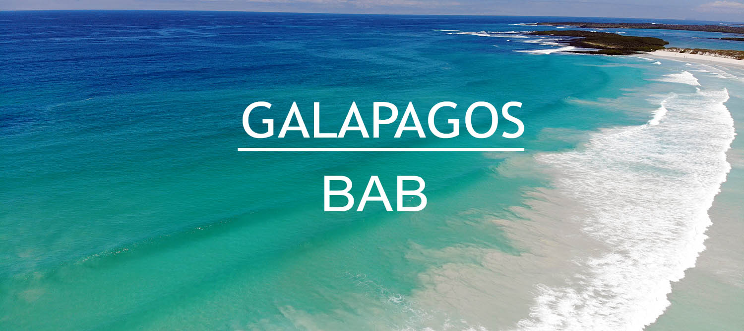 Buceo Galapagos